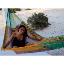 Meksikansk multi-farget hengek&oslash;ya K12